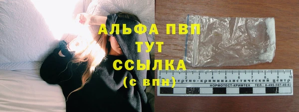 амф Магас
