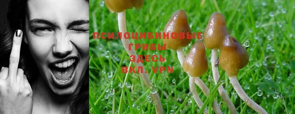 MDMA Магадан