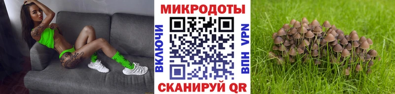 Псилоцибиновые грибы мухоморы  hydra   Новотитаровская 